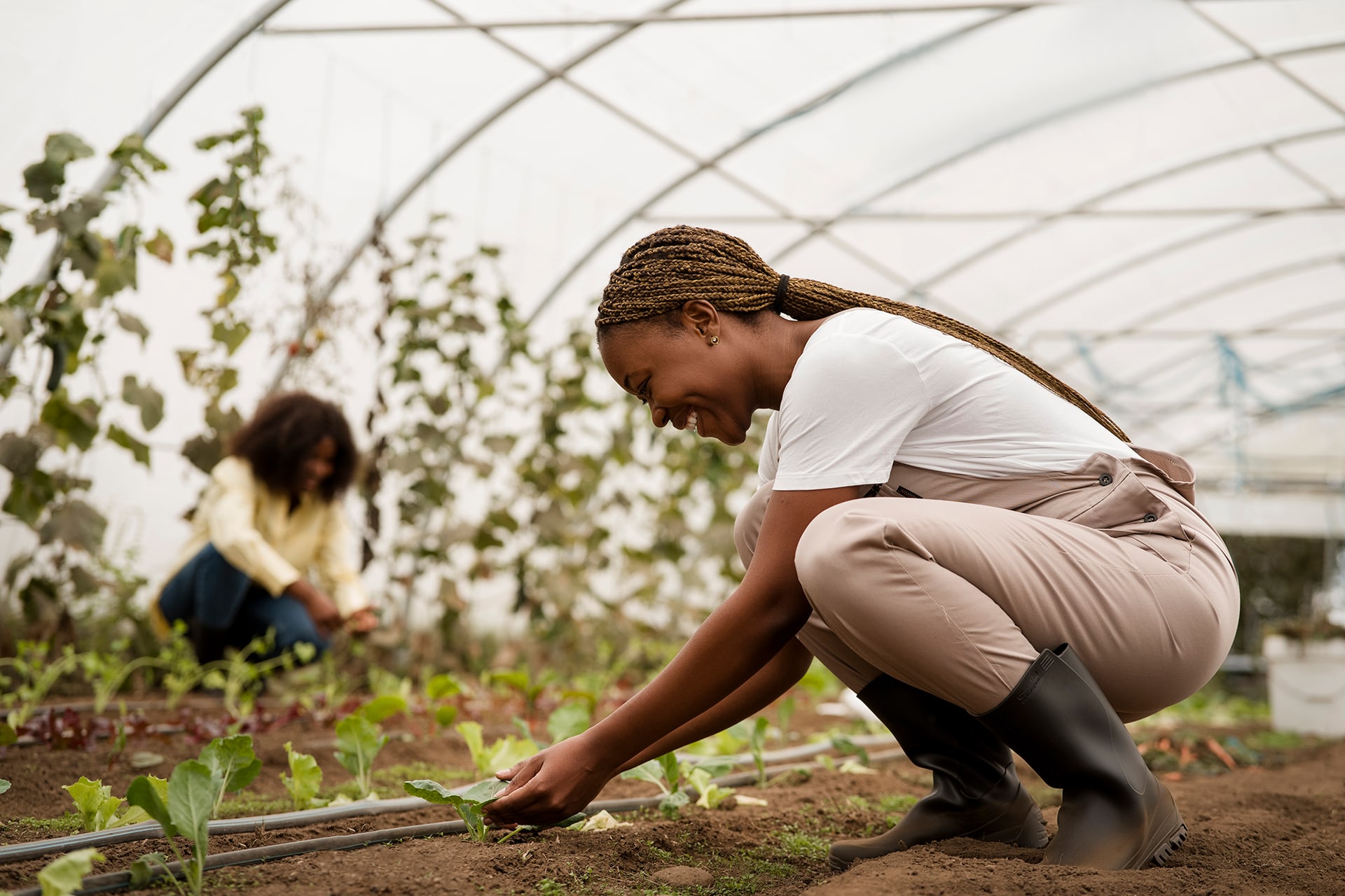 Agricultrices travaillant sous une serre équipée d'un système d'irrigation