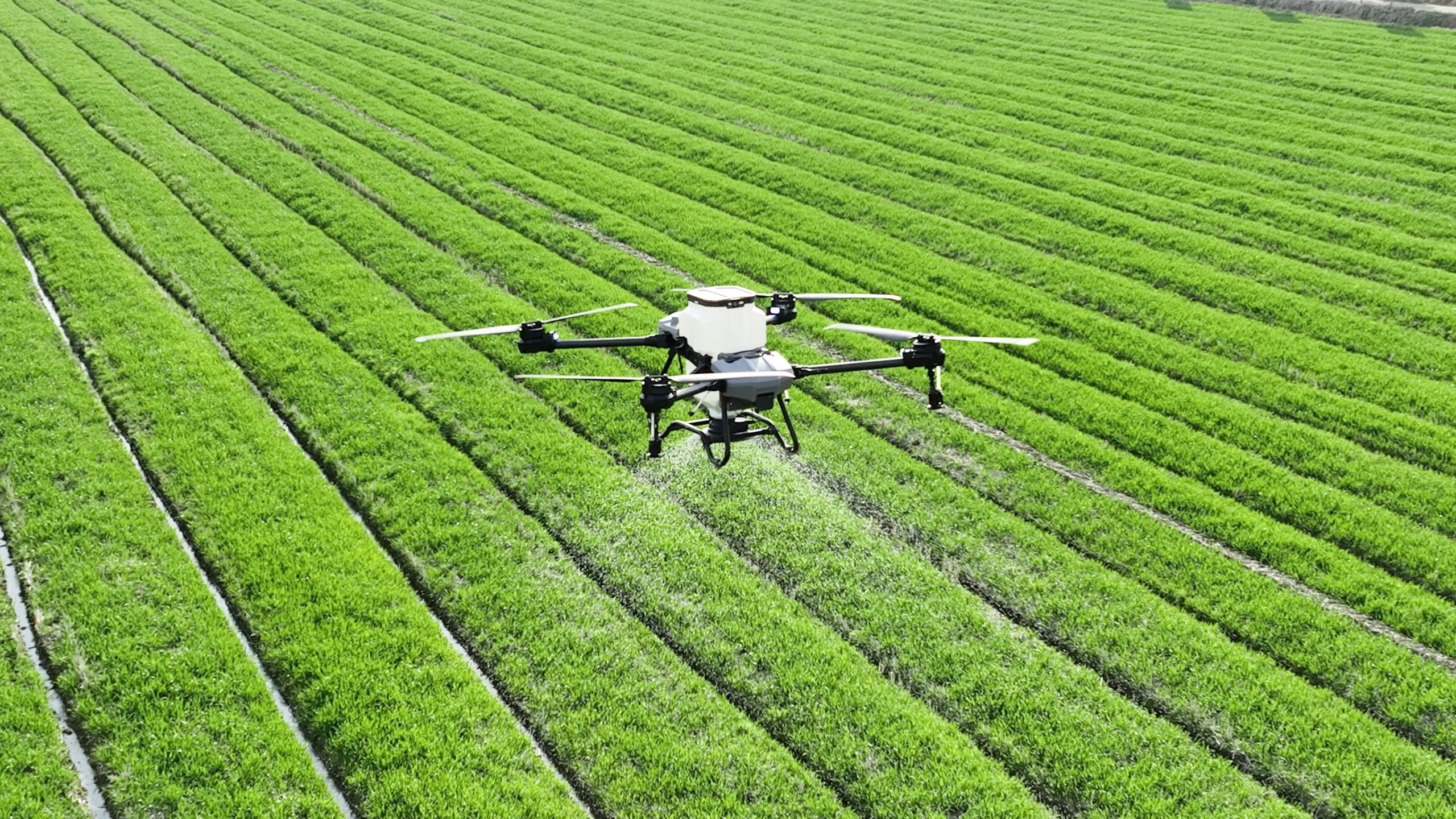 Drone agricole survolant une parcelle cultivée lors d'une intervention de terrain